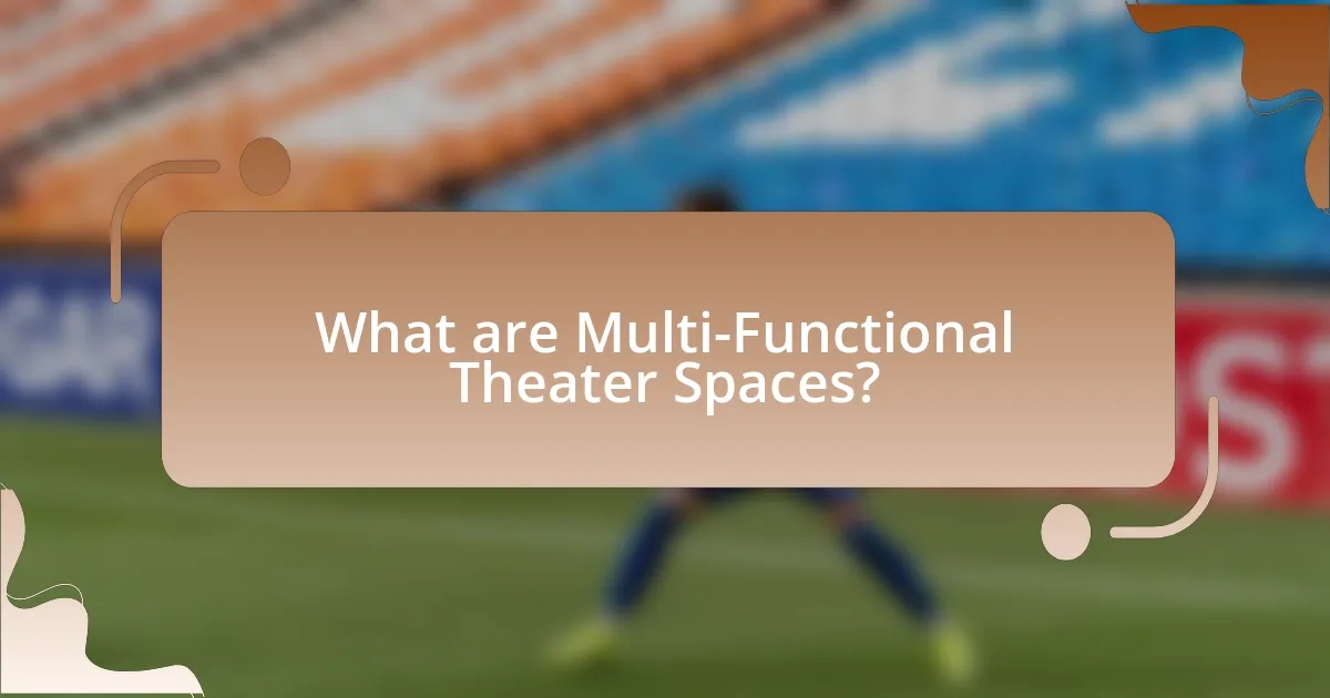 What are Multi-Functional Theater Spaces?